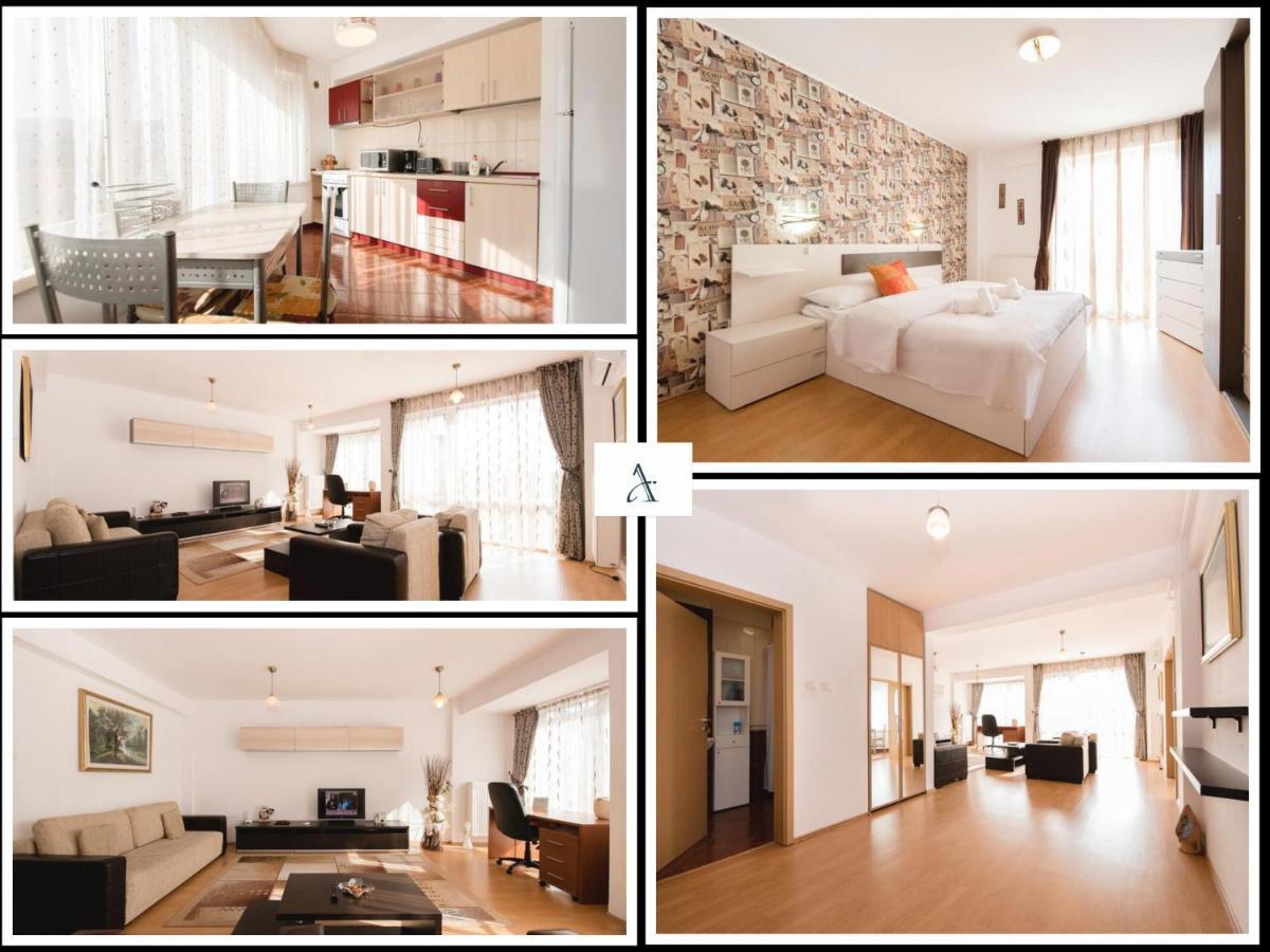 Oltului Apartment Брашов Экстерьер фото