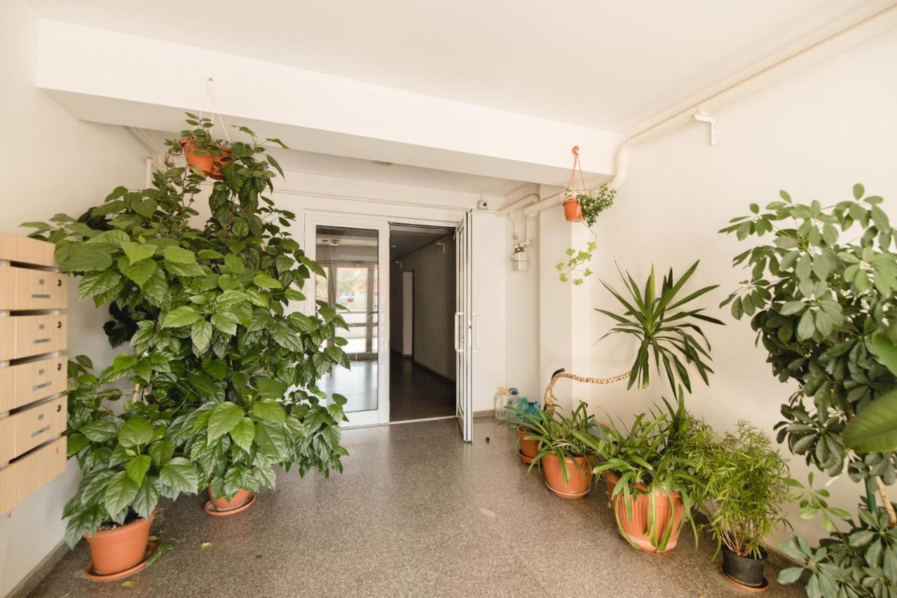 Oltului Apartment Брашов Экстерьер фото
